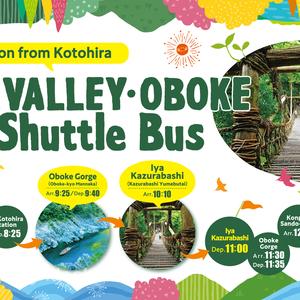 [Departing from Kotohira, Kagawa] Hidden Oboke and Kazurabashi Half-Day Bus Tour